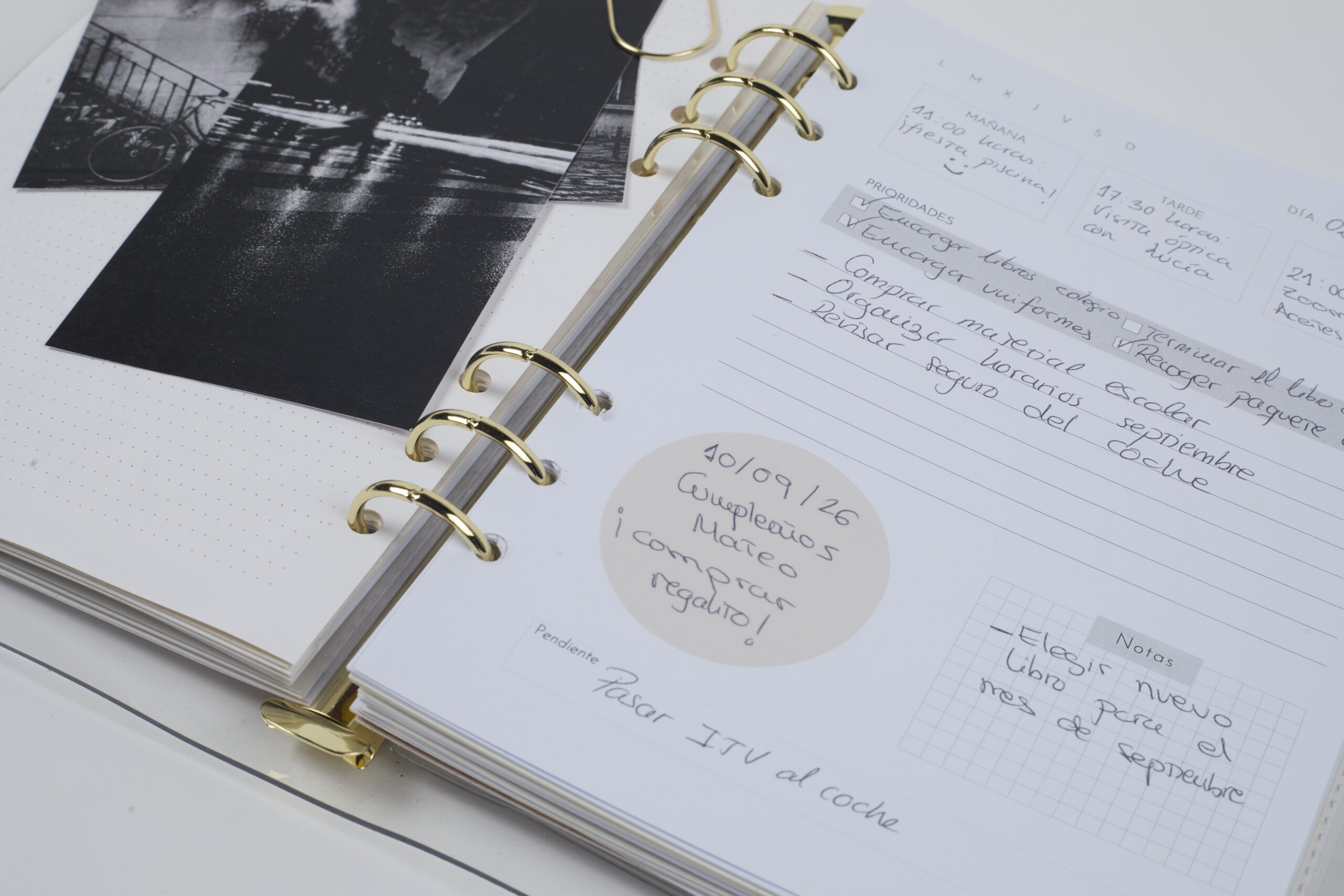 CIRCLE STICKER NOTES · Oat