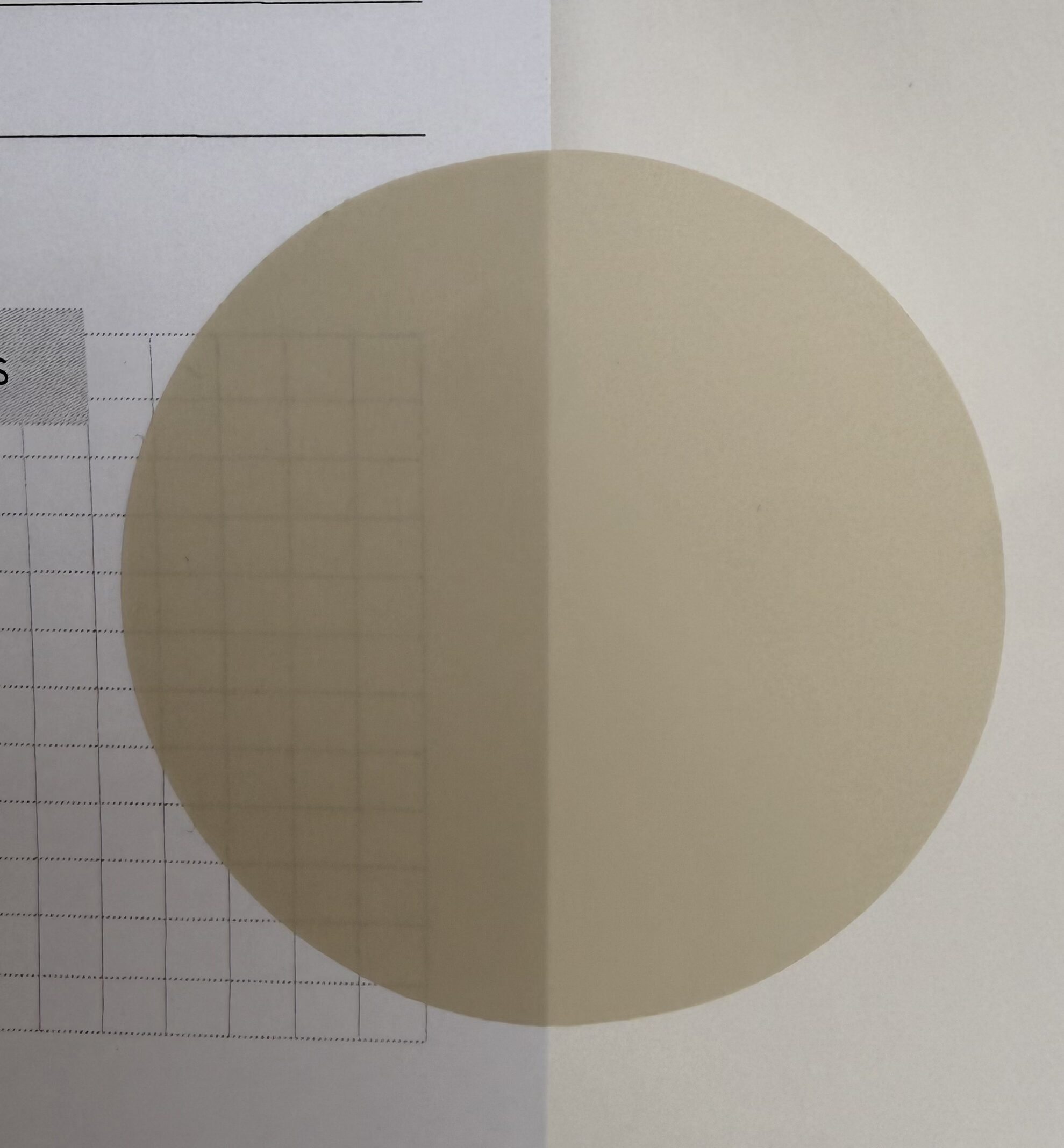 CIRCLE STICKER NOTES · Oat