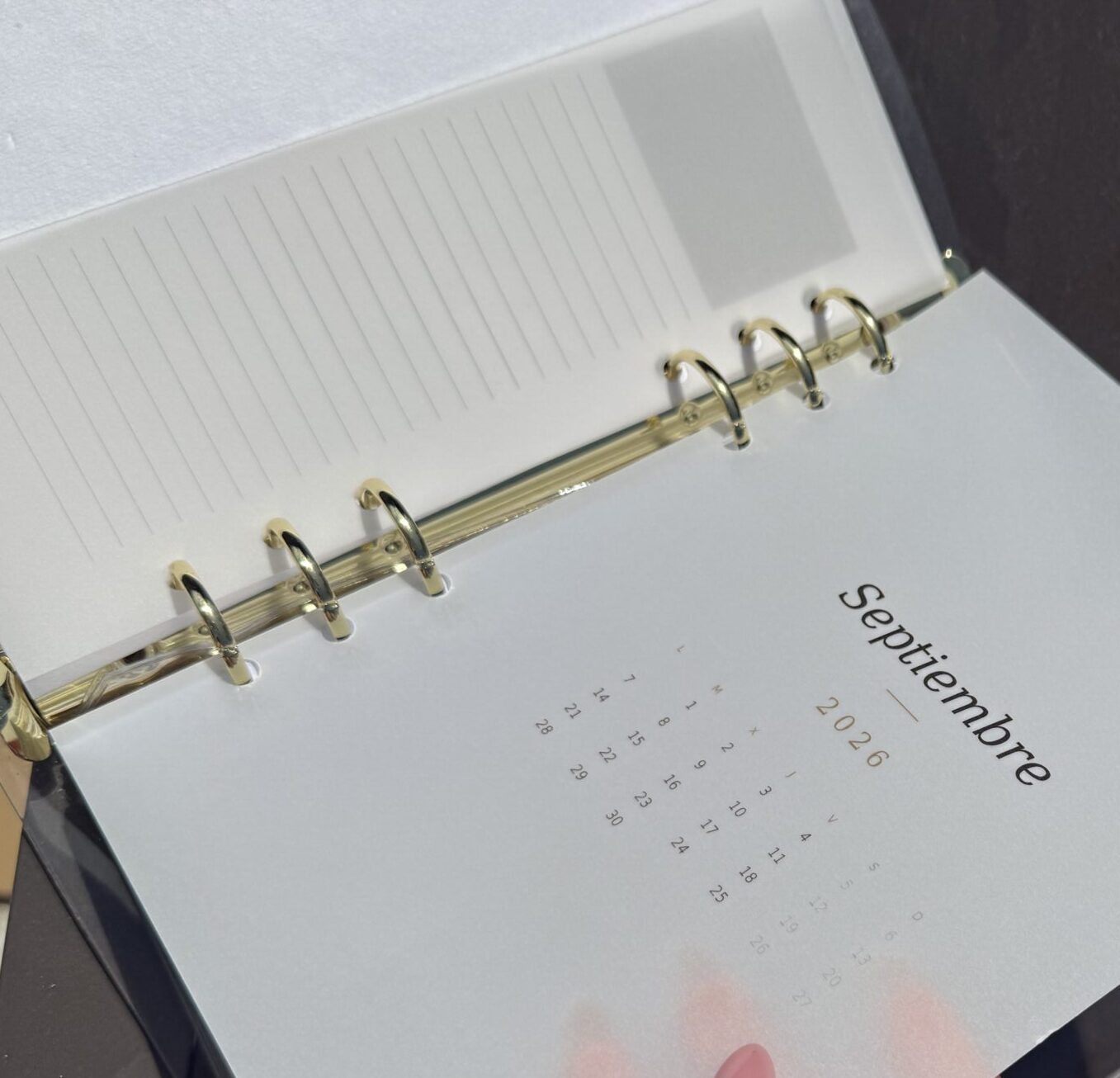 DOCE MESES ·  12 láminas mensuales en papel vegetal